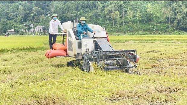 Lai Chau day manh co gioi hoa de phat trien nong nghiep hang hoa hinh anh 2