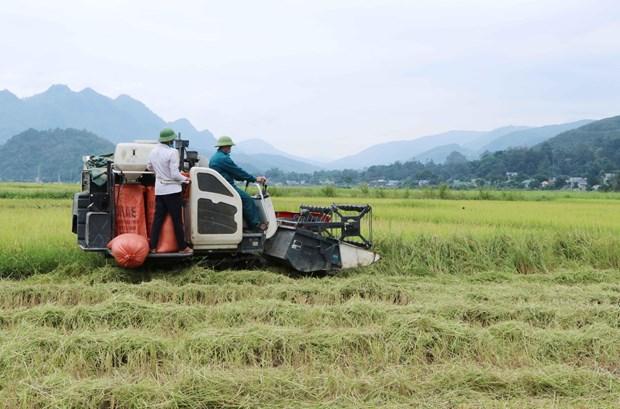 Lai Chau day manh co gioi hoa de phat trien nong nghiep hang hoa hinh anh 4