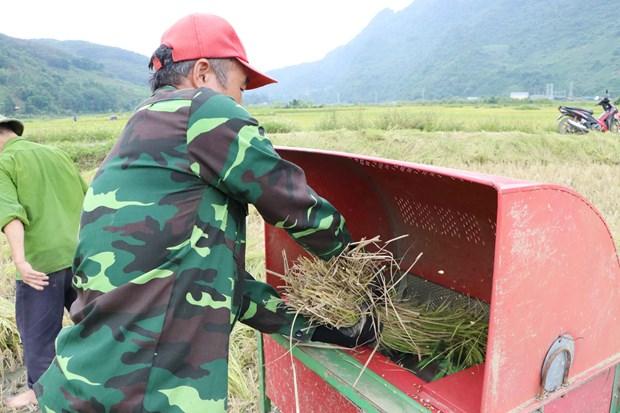 Lai Chau day manh co gioi hoa de phat trien nong nghiep hang hoa hinh anh 3