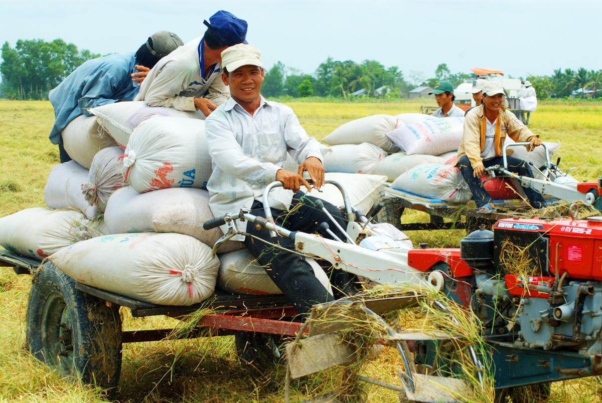 Trăn trở với dự án Luật Hợp tác xã 2012 sửa đổi - Ảnh 1.