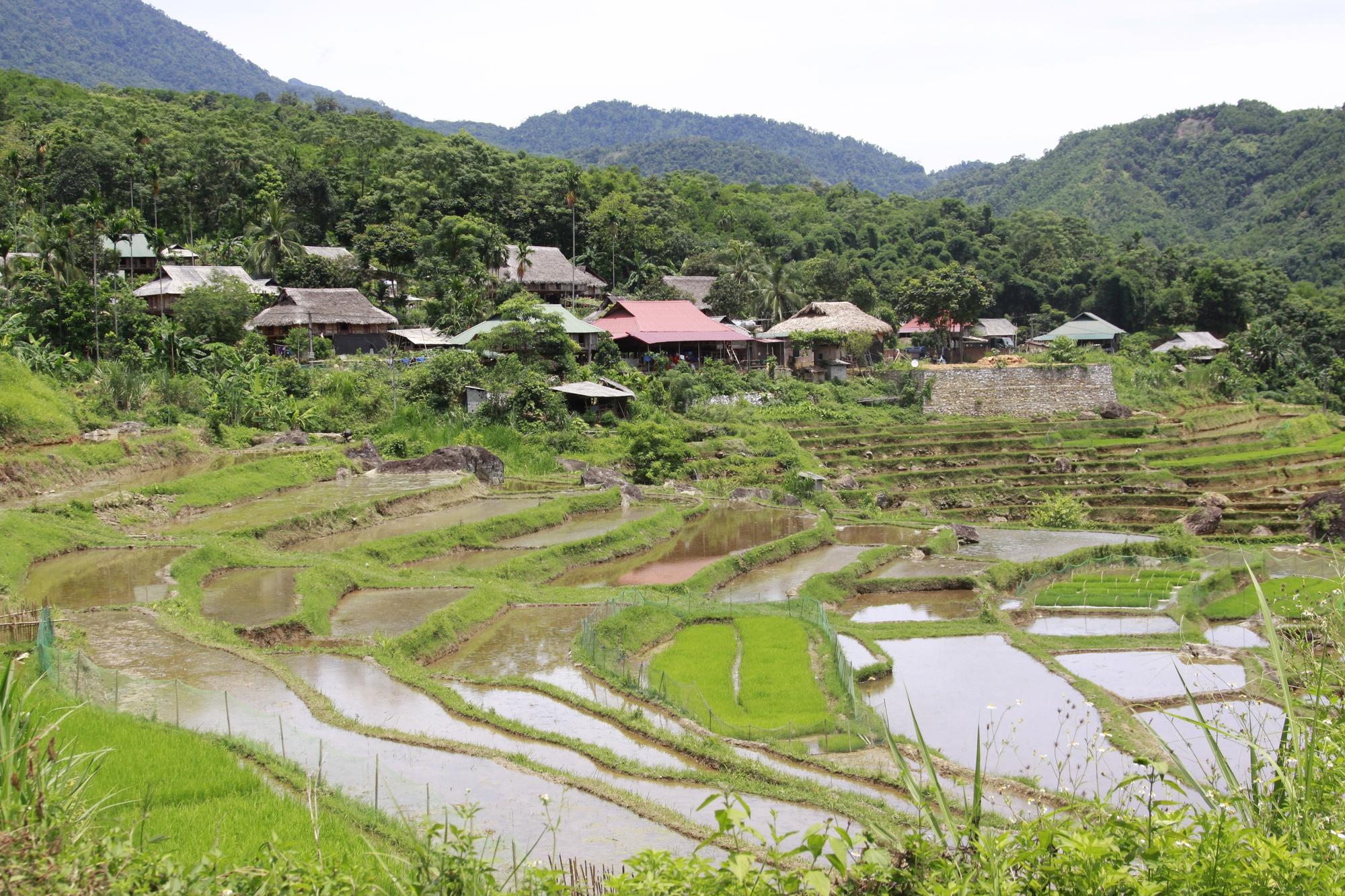 Thủ tướng Chính phủ phê duyệt chương trình du lịch nông thôn giai đoạn 2021 - 2025 - Ảnh 1.