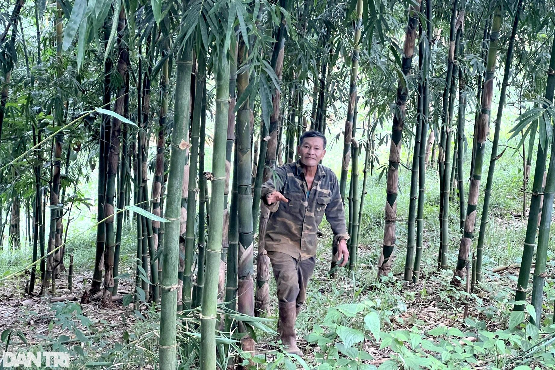 Nhờ vườn cây "trăm đốt" độc nhất vô nhị, vợ chồng lão nông cao nguyên tiền tỷ mỗi tháng - Ảnh 3.