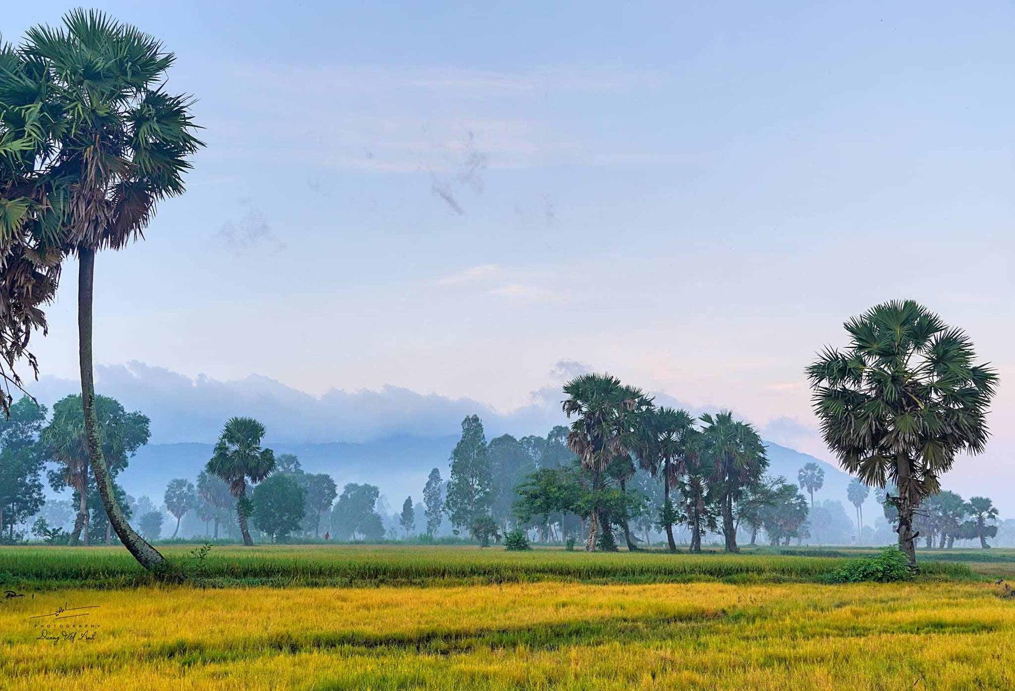 Cánh đồng Văn Giáo đẹp như cổ tích mùa lúa chín - Ảnh 4.