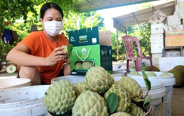 Tieu thu thuan loi, na Dong Trieu duoc gia hinh anh 2