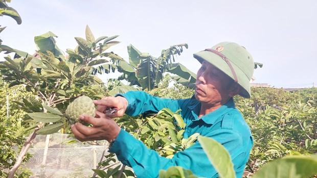 Tieu thu thuan loi, na Dong Trieu duoc gia hinh anh 1