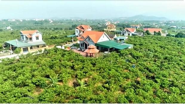 Tieu thu thuan loi, na Dong Trieu duoc gia hinh anh 3