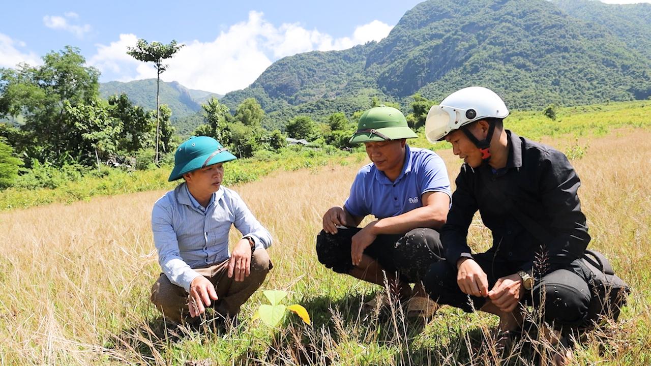 Bắc Yên tận dụng lợi thế để phát triển kinh tế - Ảnh 2.