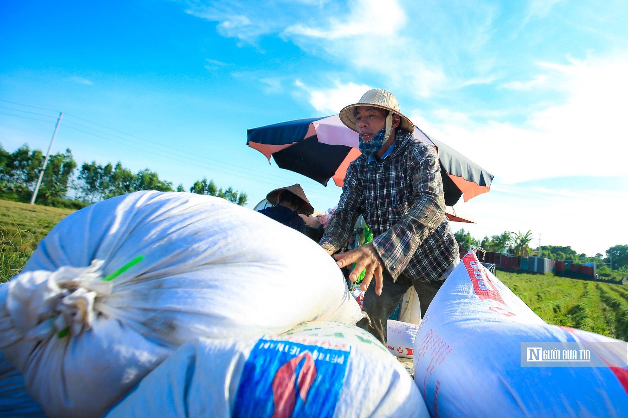 Ấn Độ cấm xuất khẩu gạo: Cơ hội cũng là rủi ro nếu doanh nghiệp găm hàng đẩy giá - Ảnh 1.