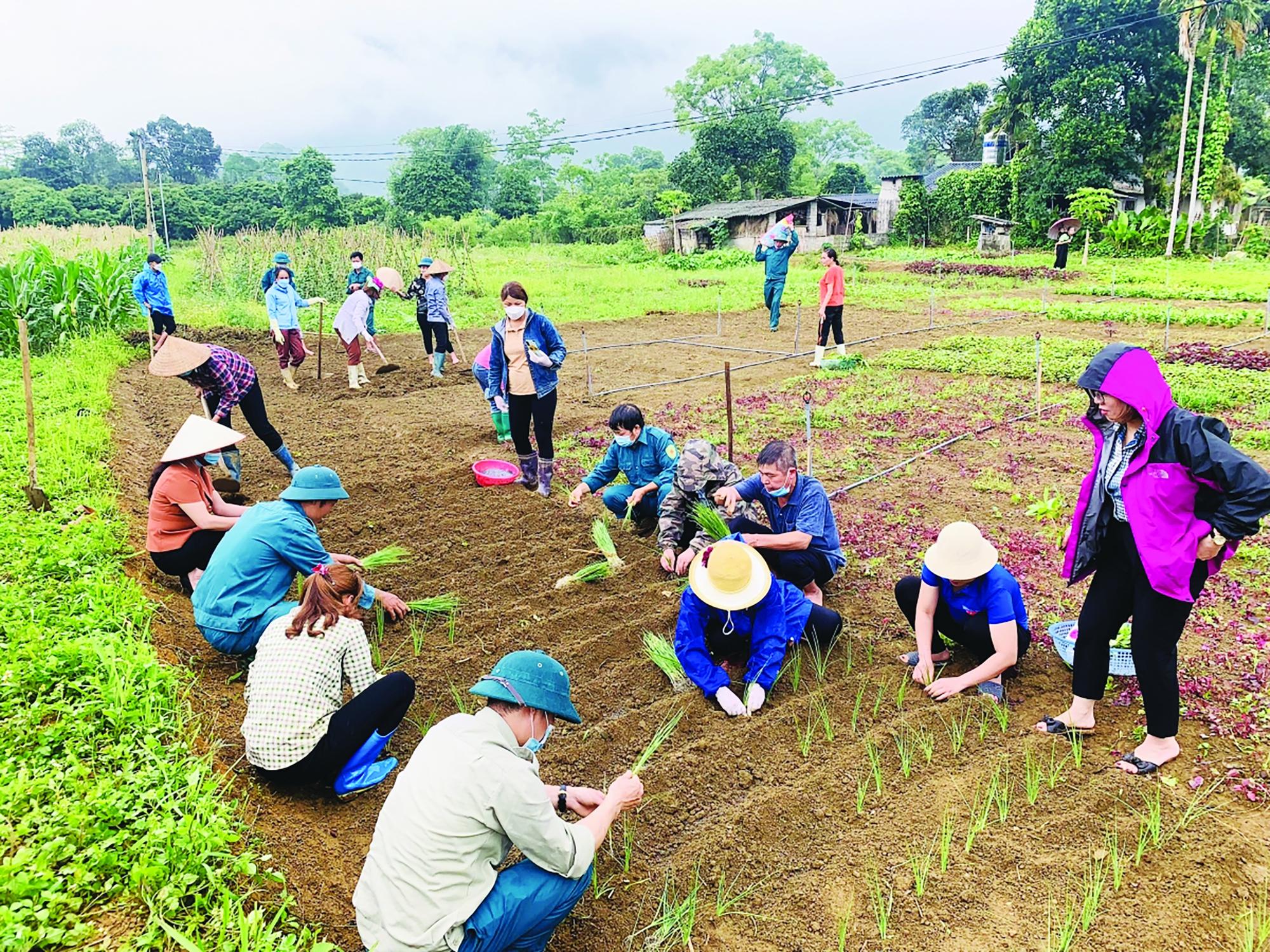 Xã Phong Quang phát động làm đường bê tông xây dựng nông thôn mới gắn với cải tạo vườn tạp - Ảnh 3.