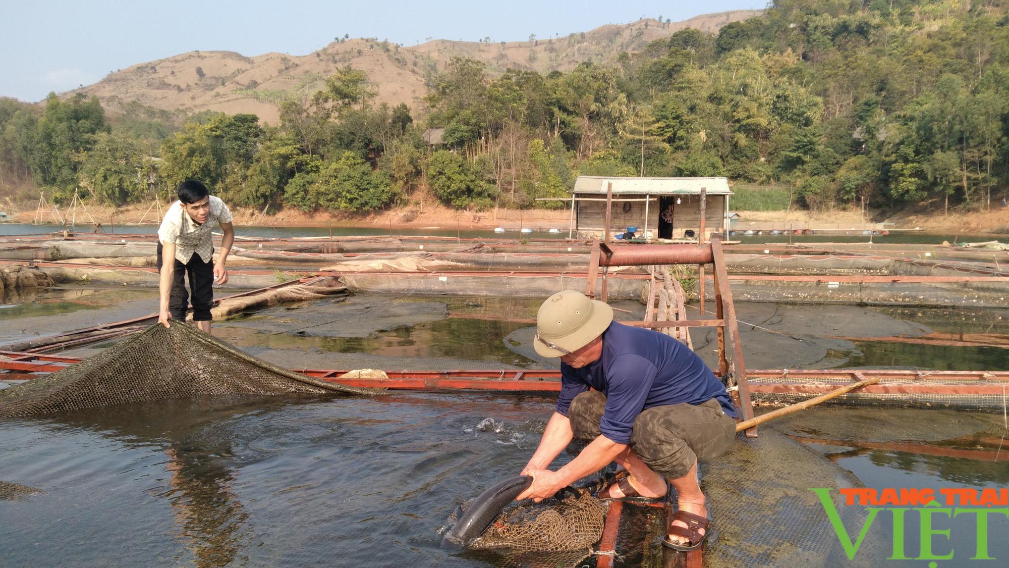 Nông dân vùng cao, thi đua sản xuất kinh doanh giỏi - Ảnh 4.