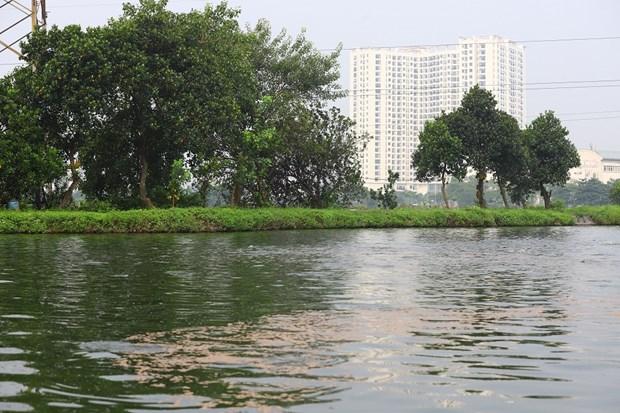 Ha Noi nuoi trong thuy san theo huong hieu qua, ben vung hinh anh 1