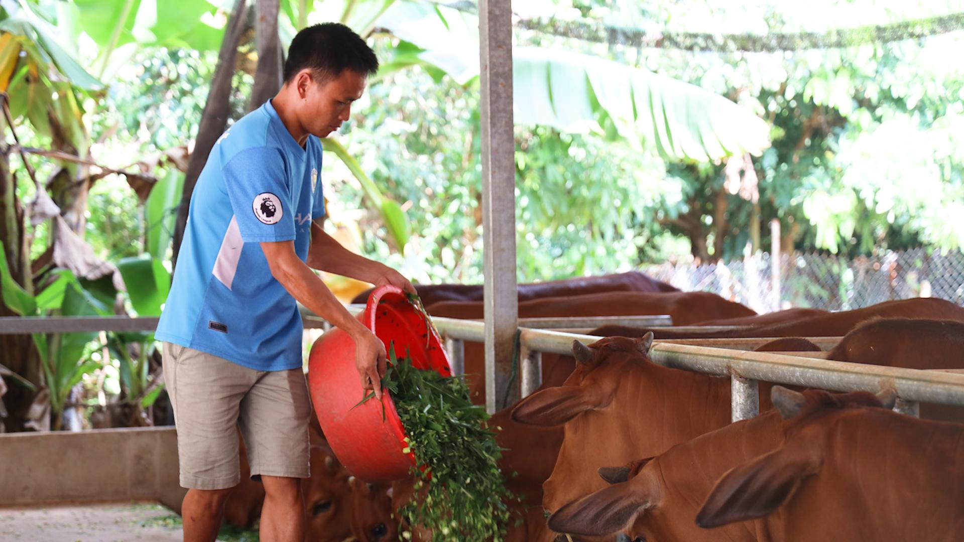 Đồng hành cùng hội viên nông dân phát triển kinh tế, vươn lên làm giàu - Ảnh 4.