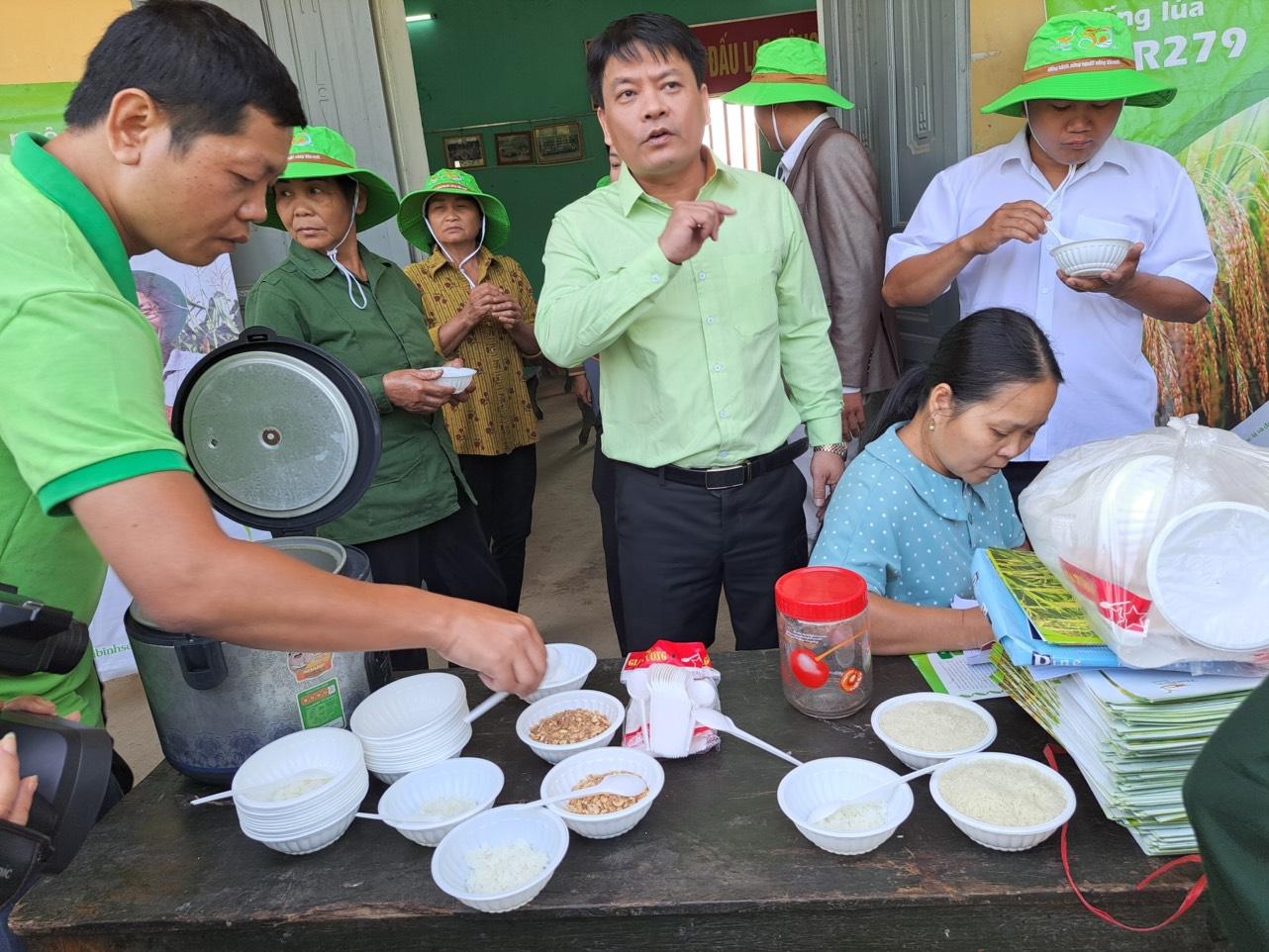 Triển vọng giống lúa mới TBR 97 tại huyện vùng cao Hòa Bình - Ảnh 3.