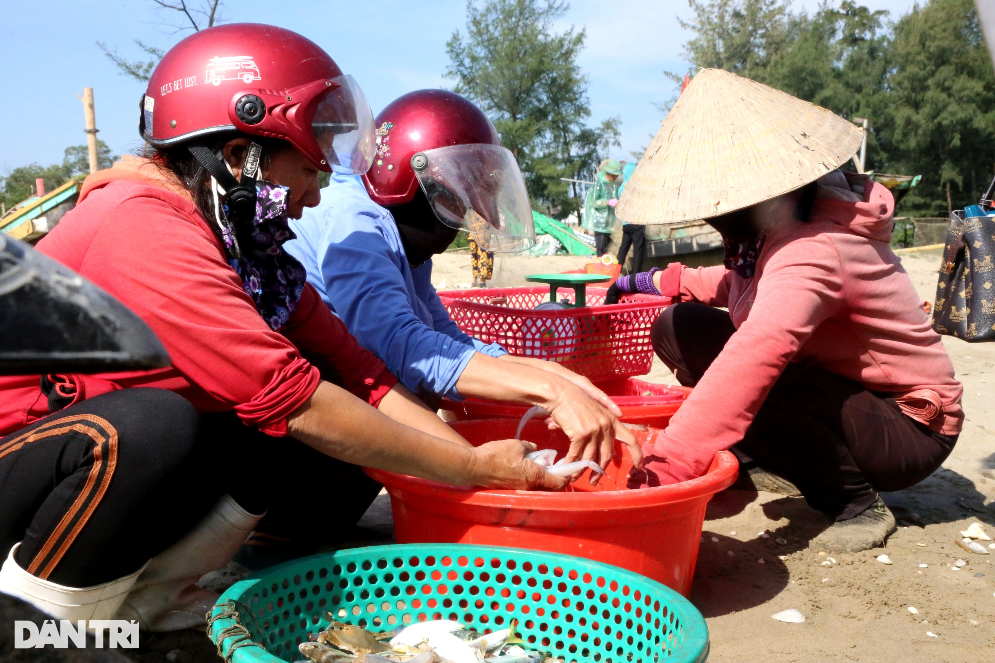 Loài cá từng bỏ đi nay thành đặc sản, thương lái tranh nhau mua - Ảnh 2.