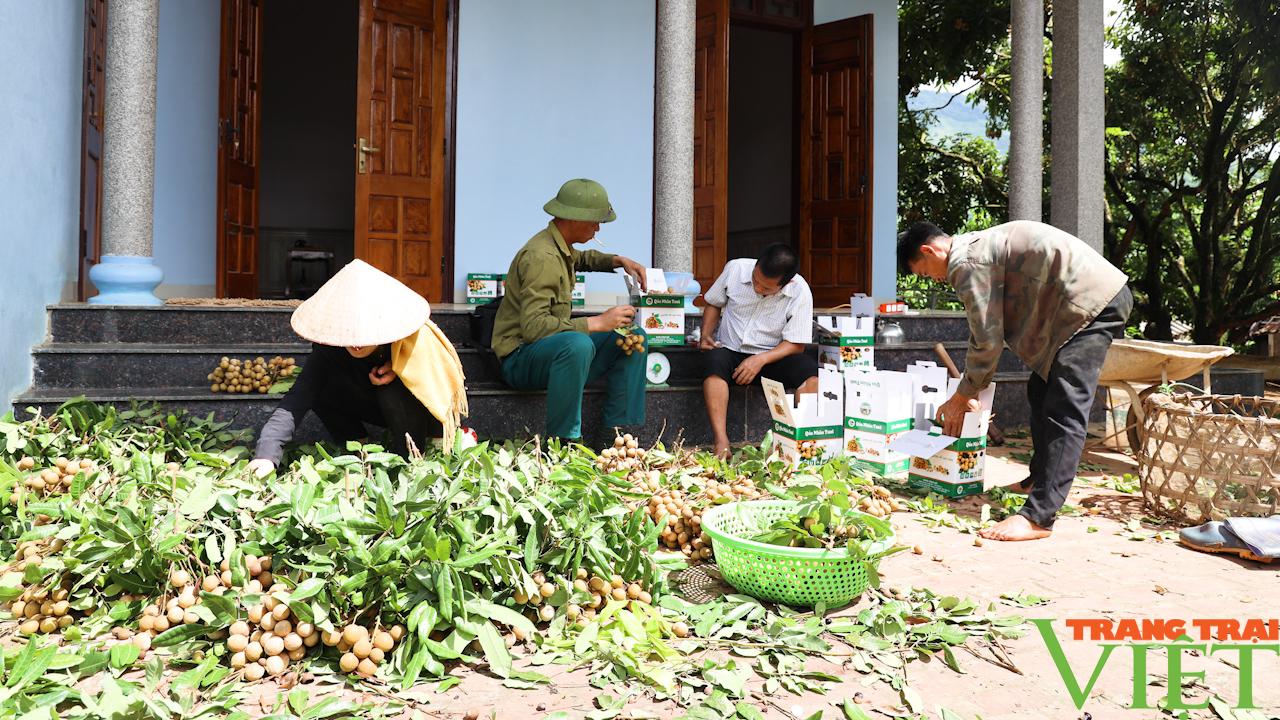 Nông dân phát triển nông nghiệp công nghệ cao - Ảnh 5.