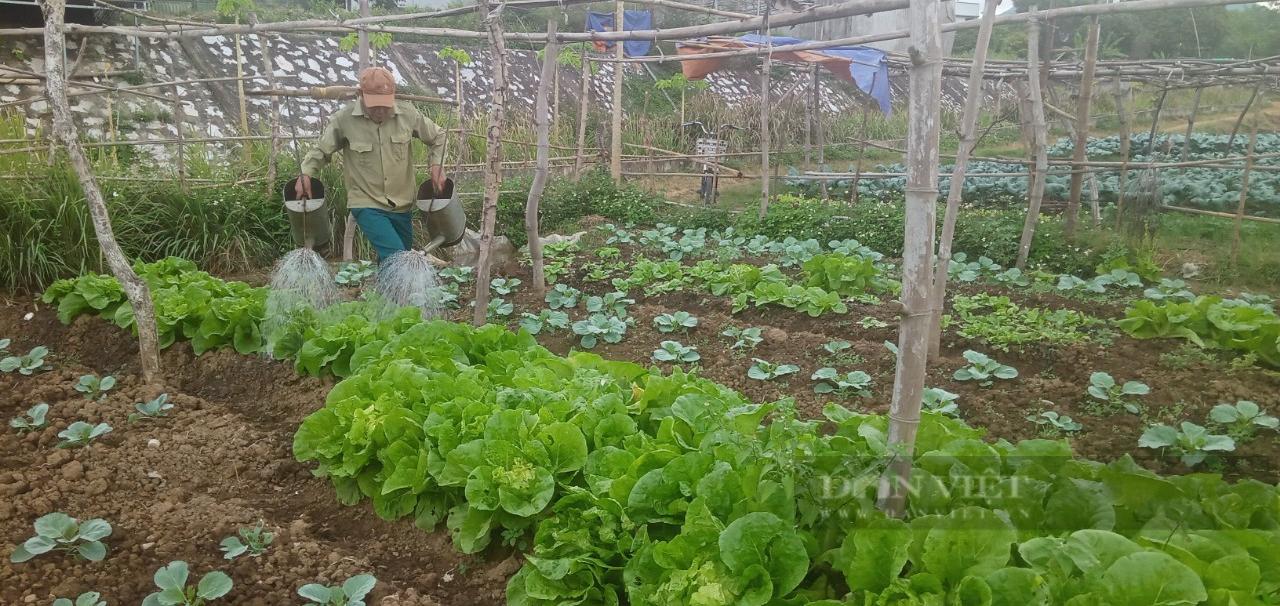 Nông dân Phù Yên (Sơn La) "bám đất, bám rộng" làm giàu - Ảnh 5.