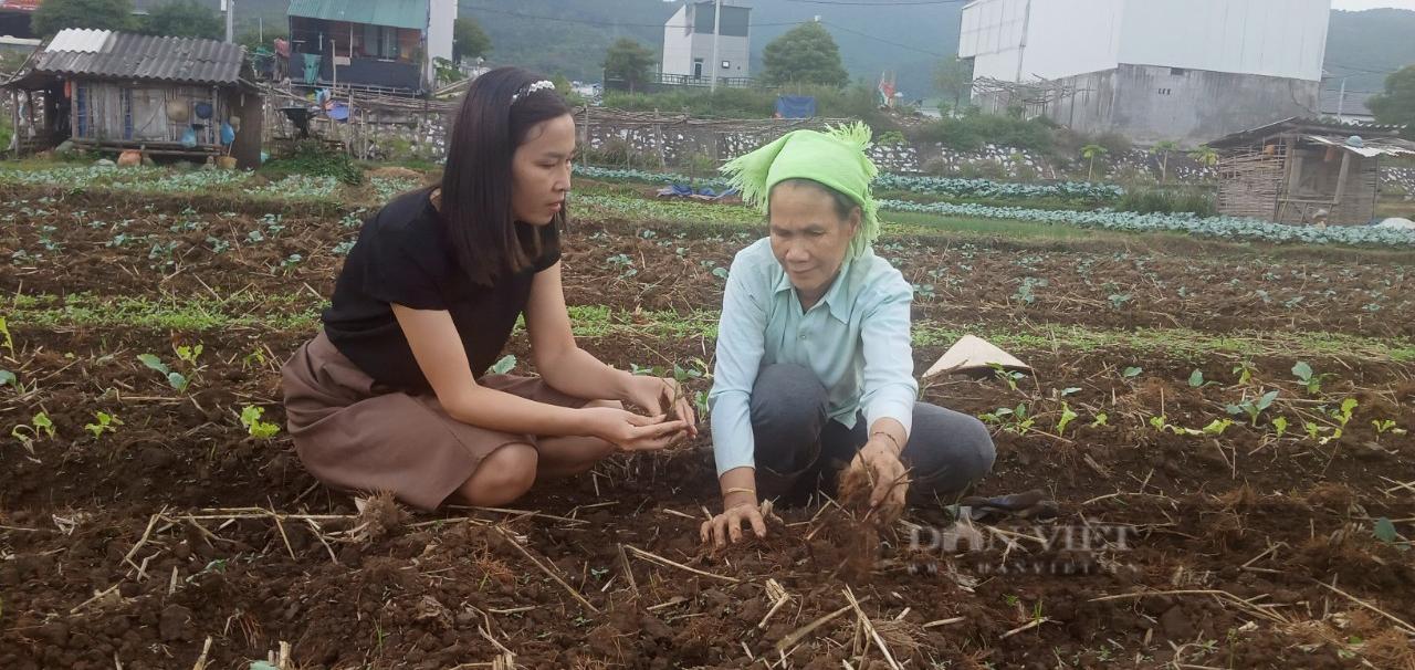 Nông dân Phù Yên (Sơn La) "bám đất, bám rộng" làm giàu - Ảnh 6.