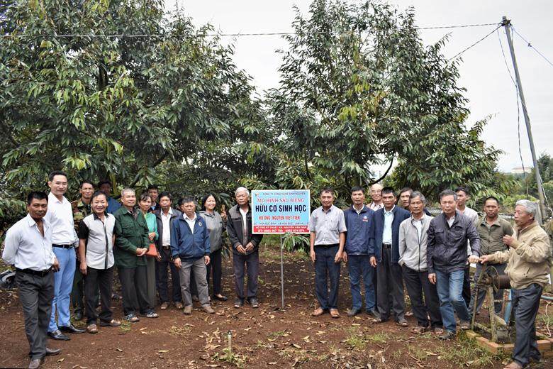 Nông dân tham quan, học hỏi mô hình điểm canh tác sầu riêng hữu cơ của hộ gia đình ông Nguyễn Viết Tiến tại xã Hoài Đức.