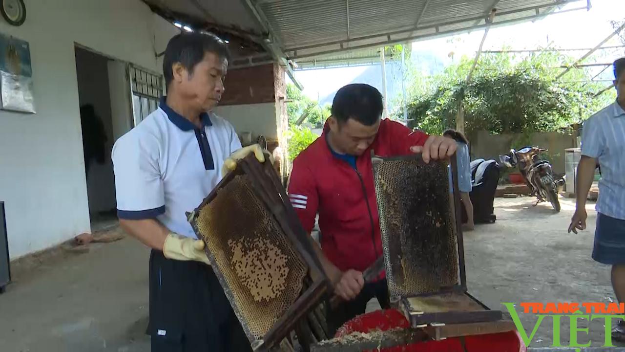 Sơn La: Lão nông giàu lên từ nghề nuôi ong - Ảnh 7.