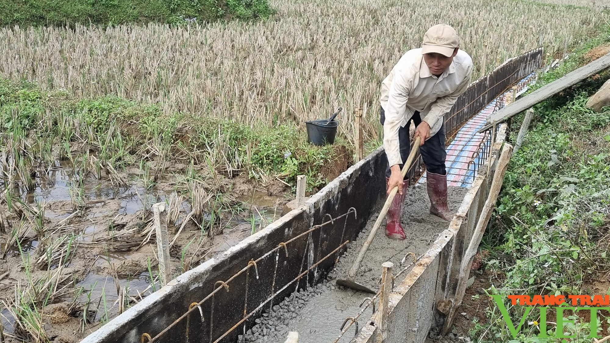 Bản vùng cao xây dựng Chi hội Nông dân vững mạnh - Ảnh 10.