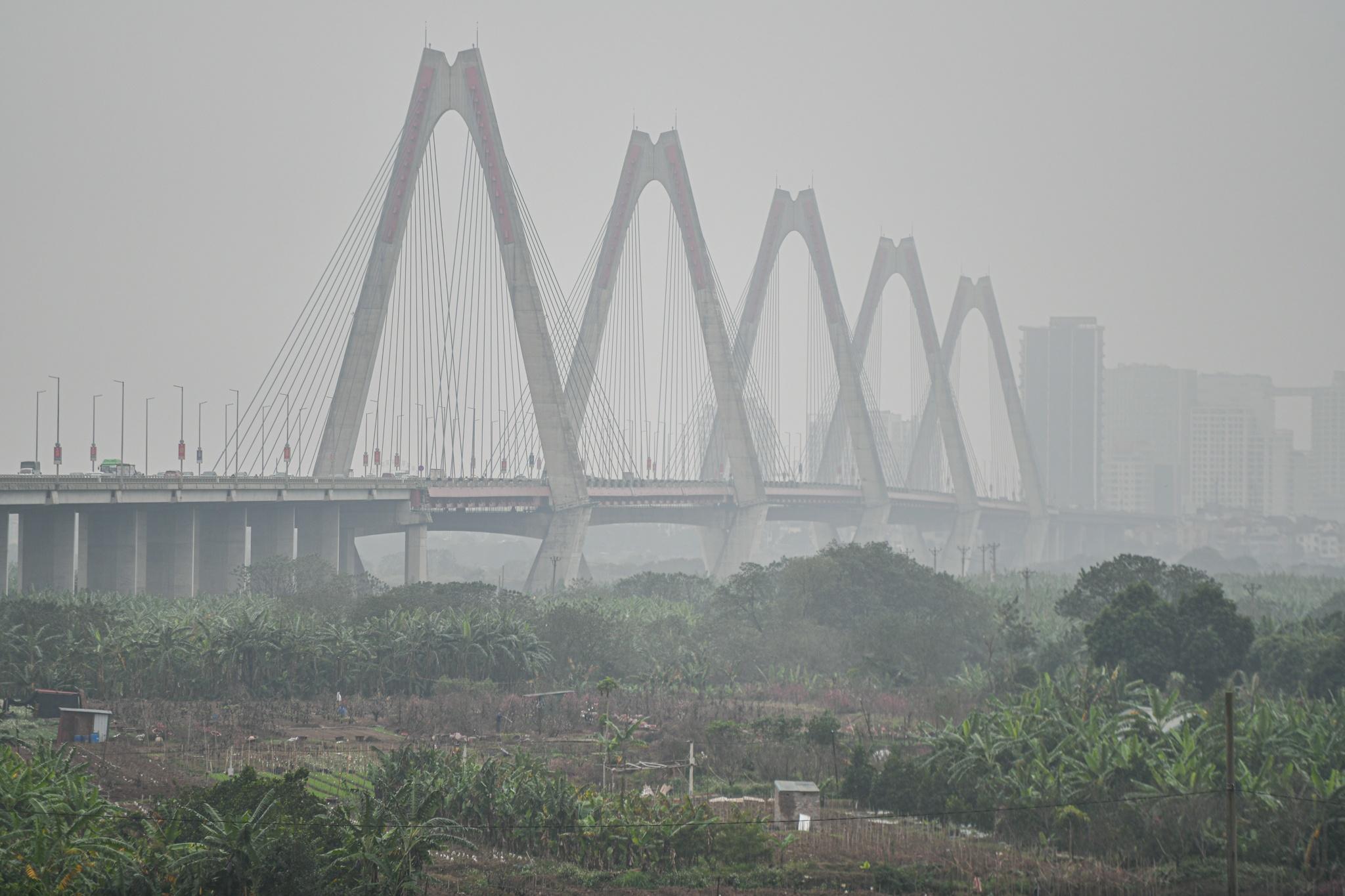 Ha Noi chim trong suong anh 11