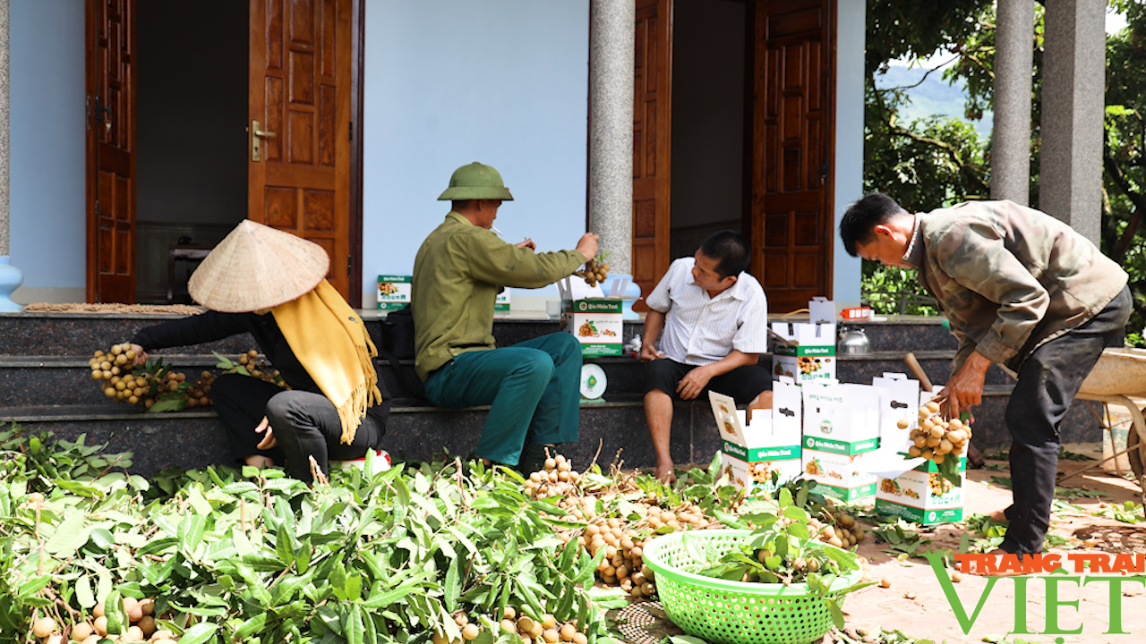 Cùng nông dân phát triển sản xuất, nâng cao thu nhập - Ảnh 6.