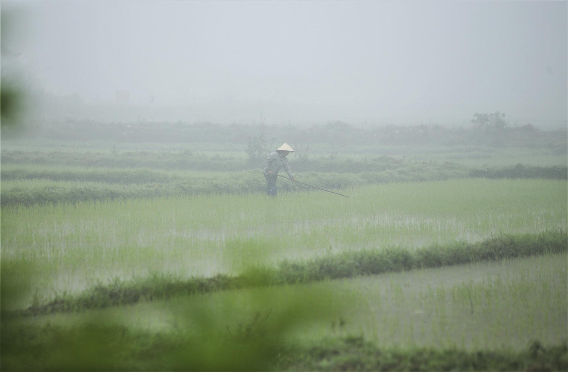 Suong mu Ha Tinh anh 6