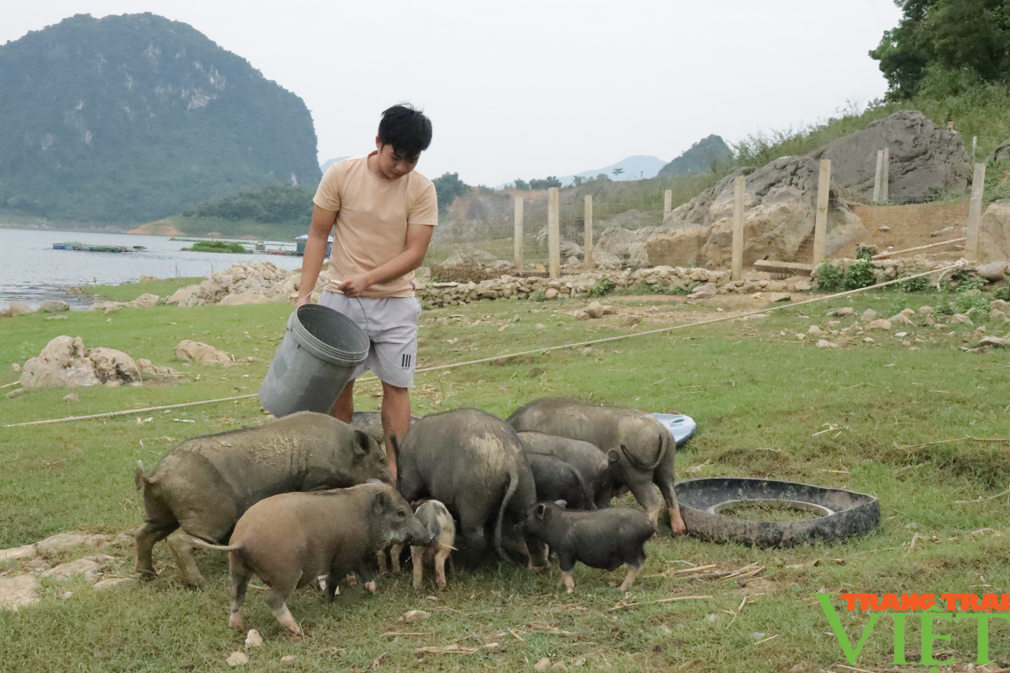 Bỏ kế toán về nuôi con đặc sản, trai Mường Hòa Bình lãi trăm triệu - Ảnh 4.