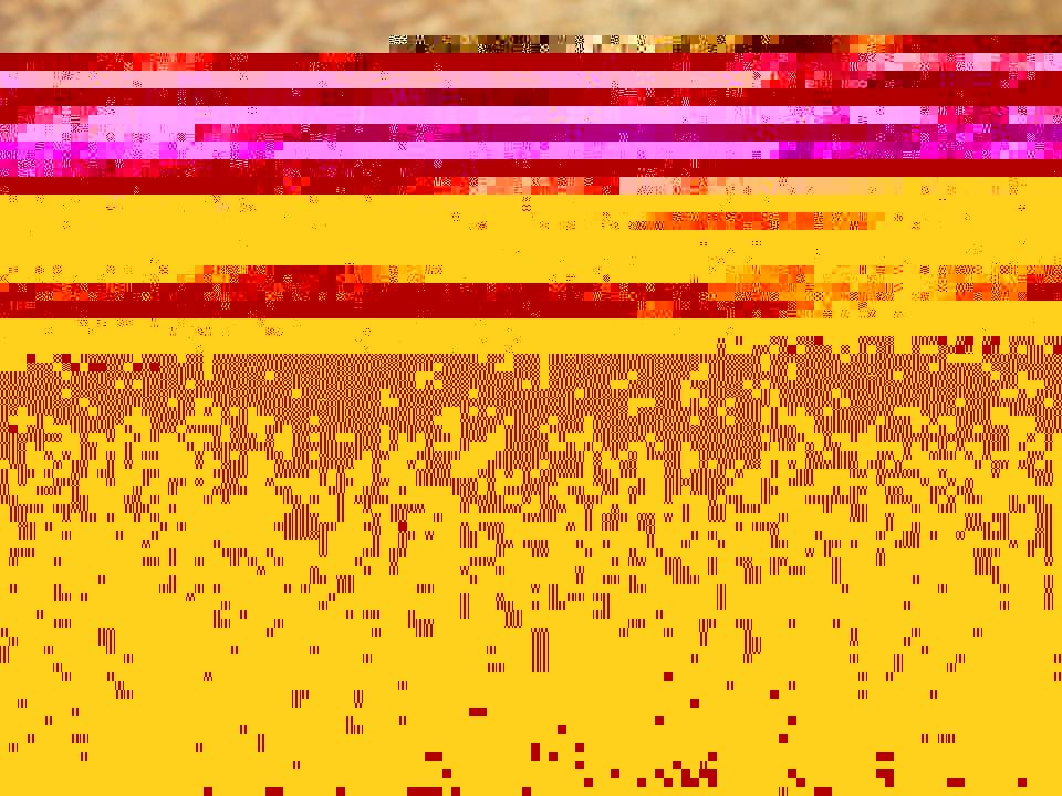 -7363-1679276822.jpg
