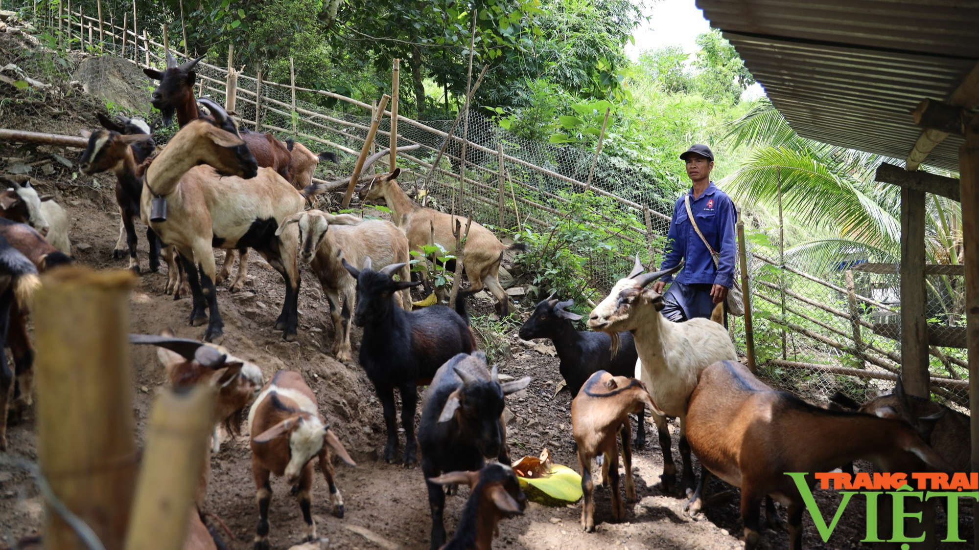 Xây dựng nông thôn mới nơi vùng cao Bắc Yên - Ảnh 5.