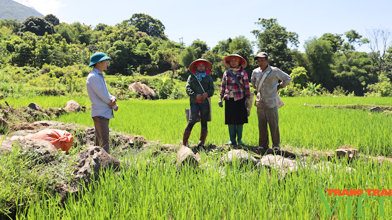 Xây dựng nông thôn mới nơi vùng cao Bắc Yên - Ảnh 3.