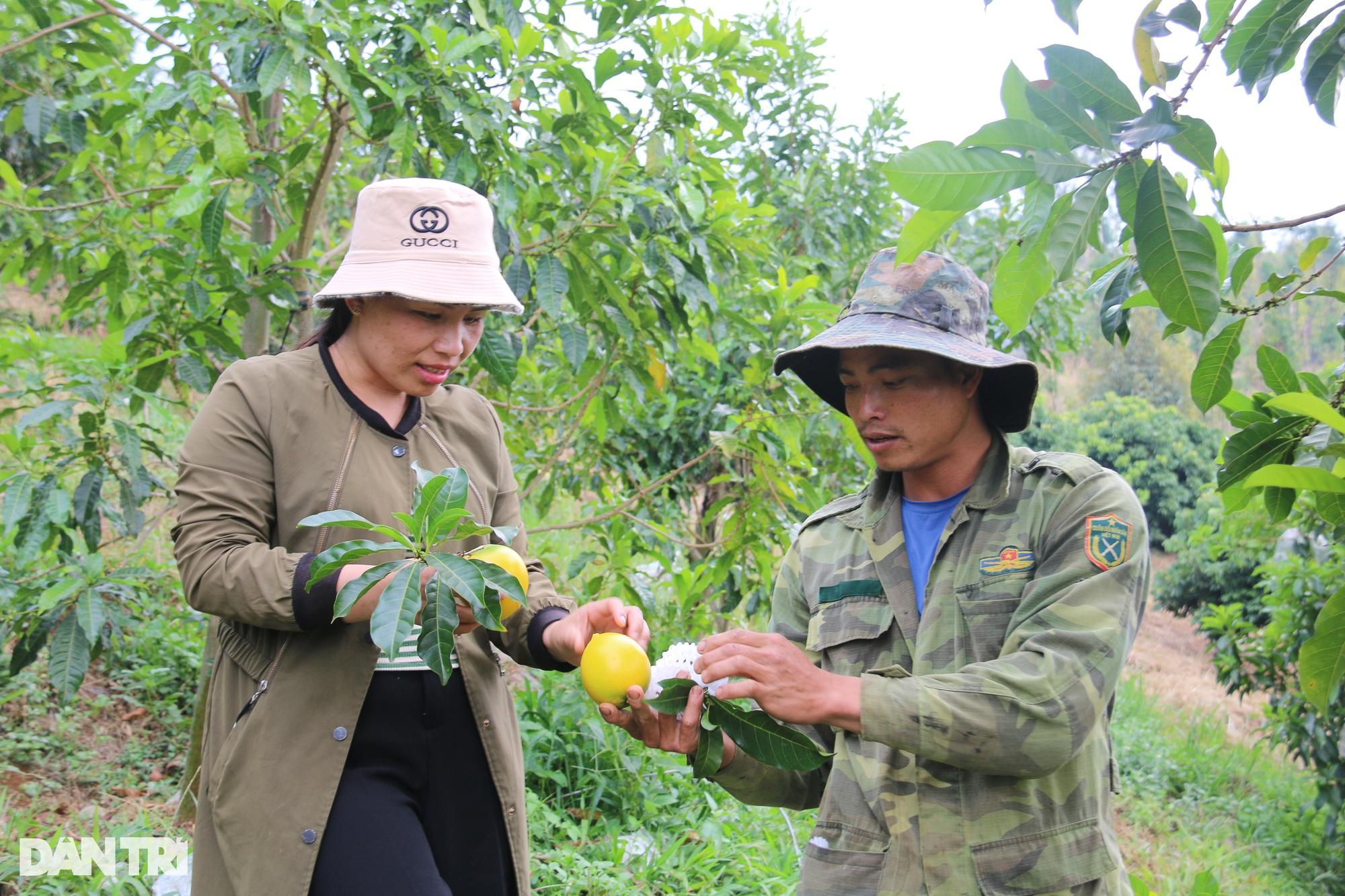 "Vỗ" vú sữa bằng tỏi ngâm rượu, nông dân trẻ thu trăm triệu mỗi năm - Ảnh 1.