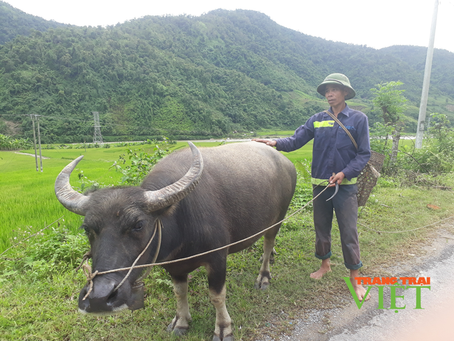 Mường Tè nỗ lực vượt khó xây dựng nông thôn mới - Ảnh 2.