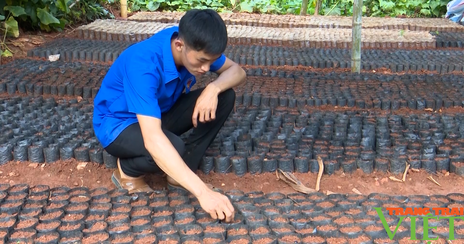 Chàng thanh niên vùng biên khởi nghiệp thành công từ vườn ươm - Ảnh 2.