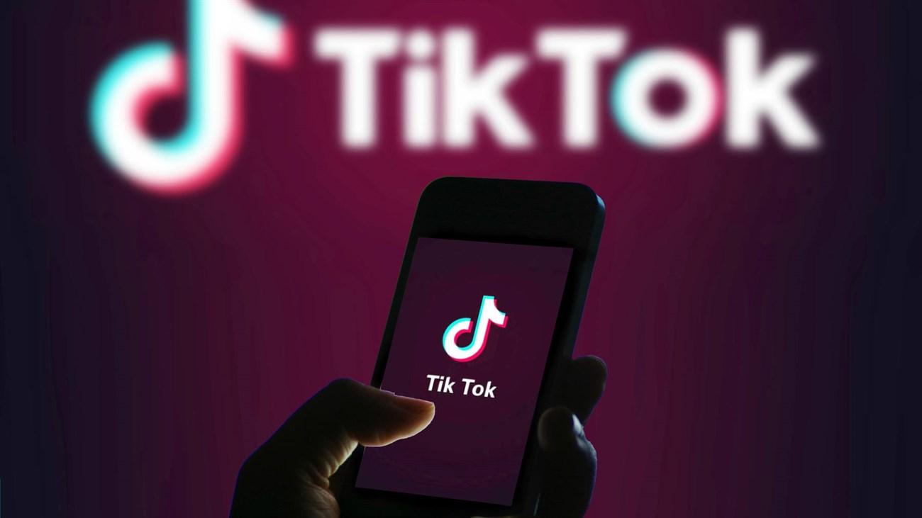 Sự kiện - Kiểm tra toàn diện hoạt động của Tiktok tại Việt Nam trong 15 ngày (Hình 2).