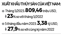 Giảm lãi suất, kích cầu vốn... “hồi sức” ngành thủy sản - Ảnh 2.