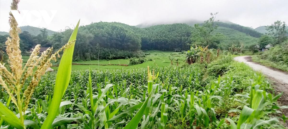 500 lá đơn xin thoát nghèo và "câu chuyện tự trọng" ở Quảng Ninh - Ảnh 2.