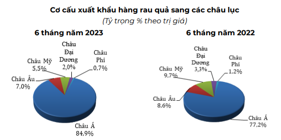 Thị phần hàng rau quả của Việt Nam tại hầu hết các thị trường nhập khẩu lớn đang "bùng nổ", trừ Hoa Kỳ - Ảnh 3.