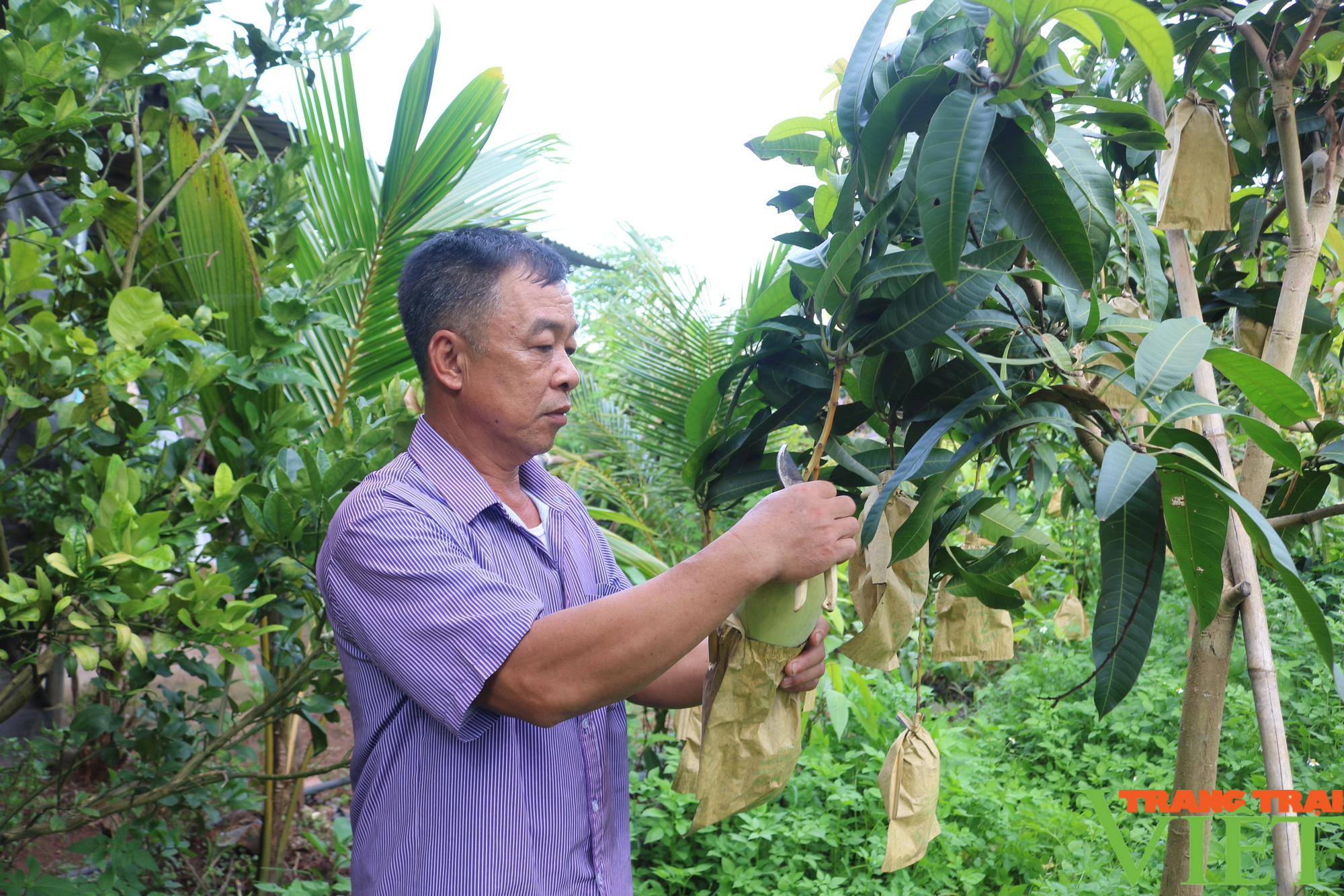 Phát triển mô hình nông nghiệp hiệu quả, bền vững nâng cao thu nhập cho hội viên nông dân - Ảnh 3.