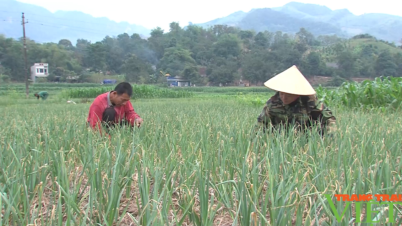 Yên Châu: Phát triển sản phẩm OCOP để nâng giá trị nông sản đặc trưng - Ảnh 2.