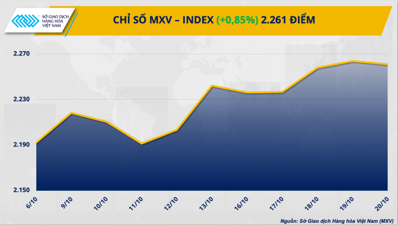 Thị trường hàng hóa hôm nay ngày 23/10/2023: Giá khô đậu tương tăng hơn 8%