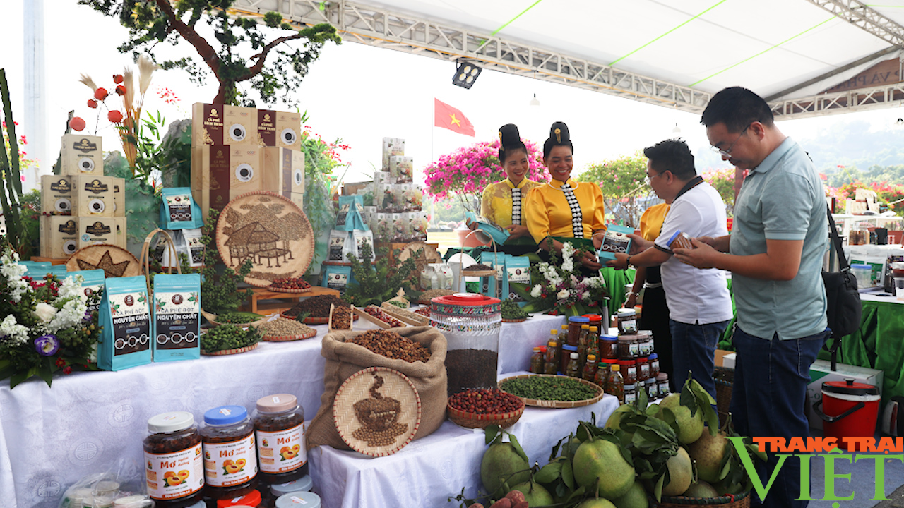 Hội chợ "Cà phê Sơn La - Hội nhập và phát triển" - Ảnh 11.