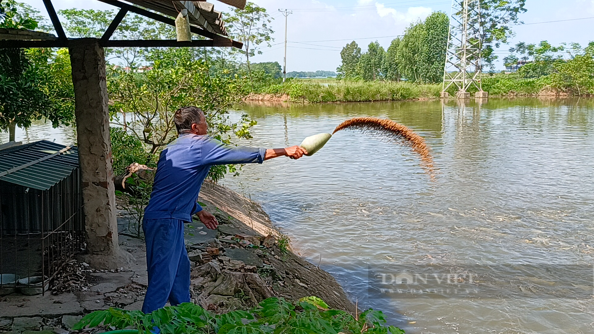 "Góc khuất" chuyển đổi số nông nghiệp: Khi hệ thống cảm biến dưới ao cá bị đưa... lên bờ (Bài 1) - Ảnh 6.