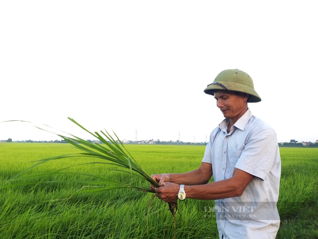 "Góc khuất" chuyển đổi số nông nghiệp: Những "đại điền" chưa thể lái máy bay phun thuốc trừ sâu (Bài 2) - Ảnh 4.