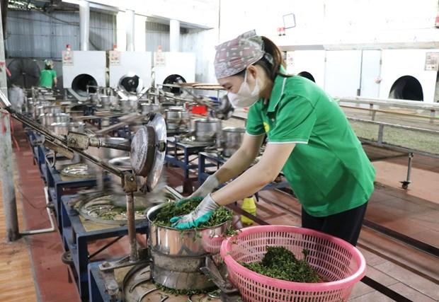 Phu Luong phat huy the manh nong lam nghiep hinh anh 3