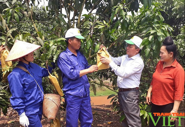 Hội Nông dân Sơn La đồng hành cùng nông dân trong kết nối, tiêu thụ nông sản - Ảnh 4.