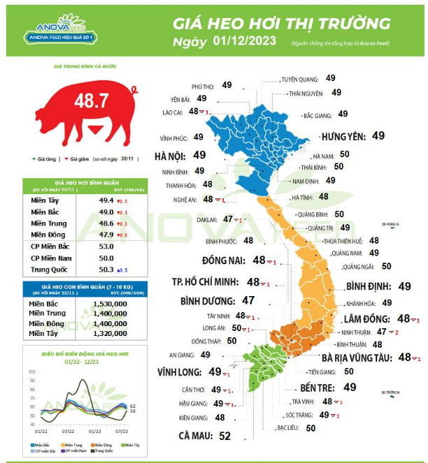 Giá lợn hơi hôm nay "trượt dốc cao", toàn quốc giảm sâu - Ảnh 1.