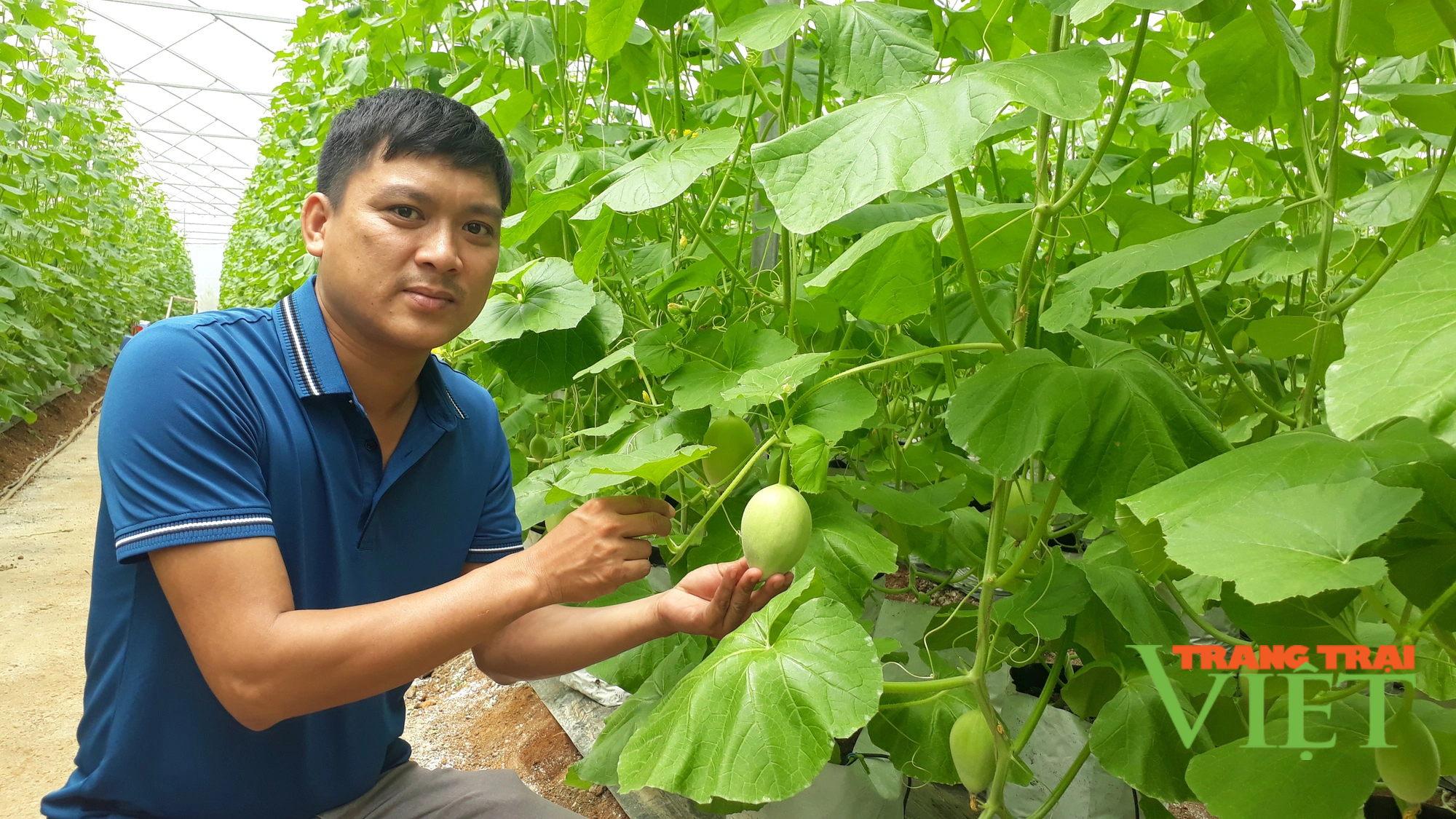 Lai Châu: Ứng dụng tiến bộ khoa học kĩ thuật vào sản xuất, nông dân Tân Uyên khá giả hẳn lên - Ảnh 4.