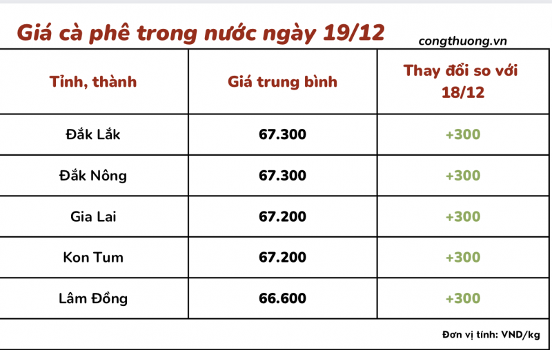 Giá cà phê 19/12, giá cà phê trong nước ngày 19/12/2023