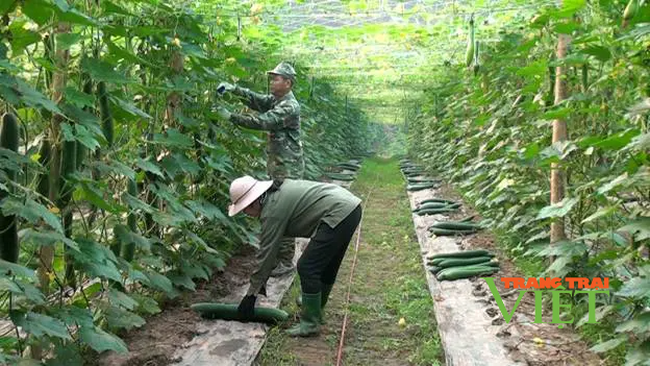 Được đào tạo nghề, nông dân Điện Biên Đông có "cần câu cơm"   - Ảnh 1.